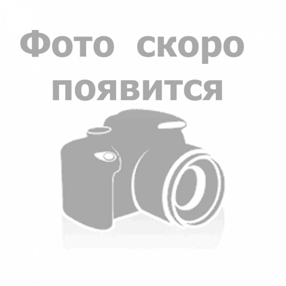 Нечаева Ирина Альбертовна.